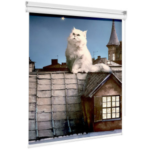 Кот на крыше