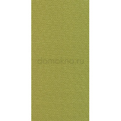 Кёльн фисташковый